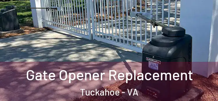 Gate Opener Replacement Tuckahoe - VA